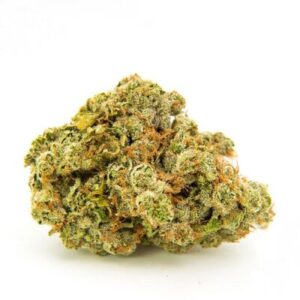 White Widow Marijuana Strain