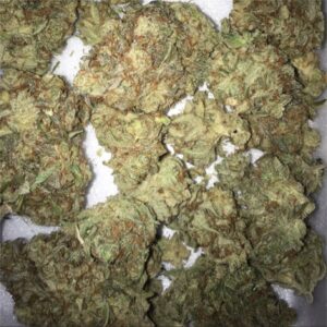 AK-47 Marijuana Strain