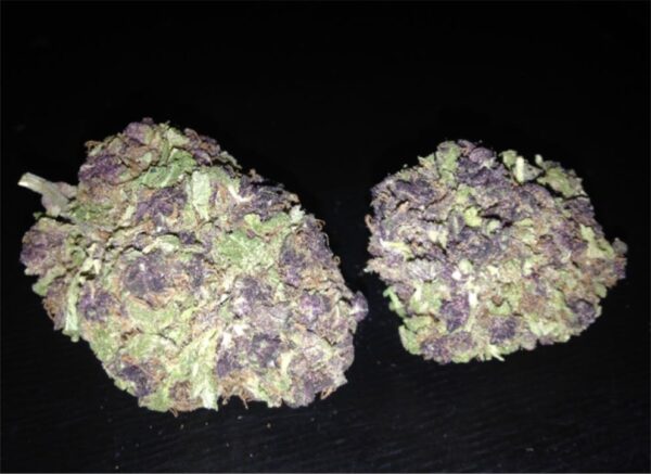 Blackberry Marijuana Strain