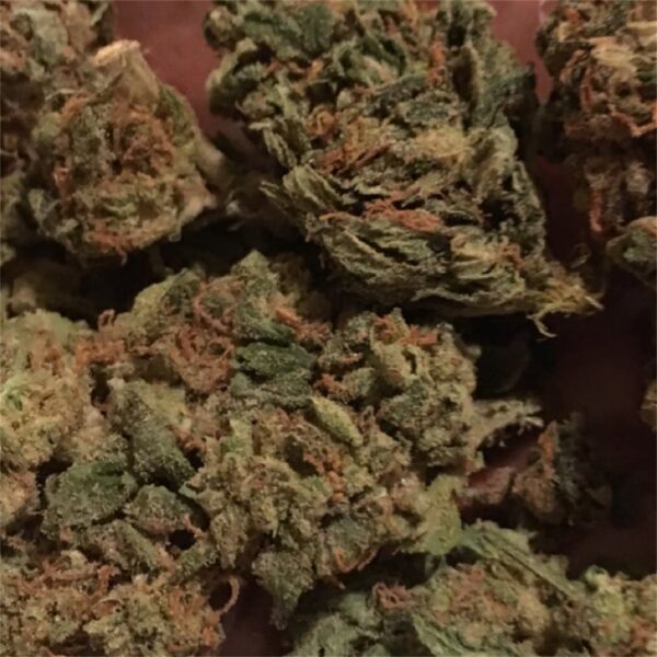 Blue Cheese Marijuana Strain