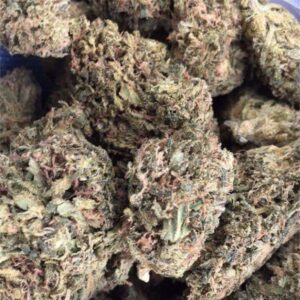 Blue Dream Marijuana Strain