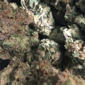 Blueberry Marijuana Strain