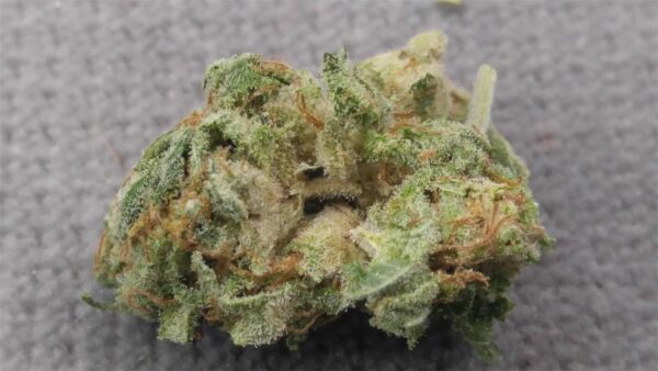 Blueberry Marijuana Strain