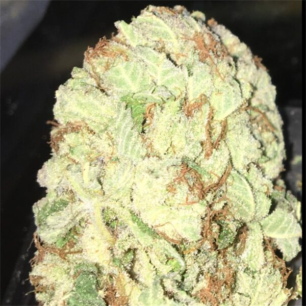 Death Star Marijuana Strain