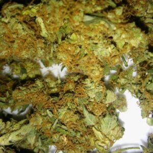 Death Star Marijuana Strain