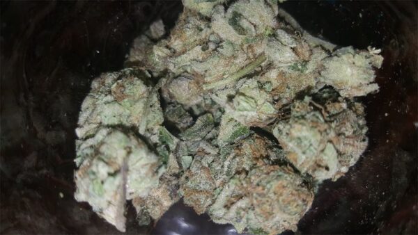 Girl Scout Cookies Marijuana Strain