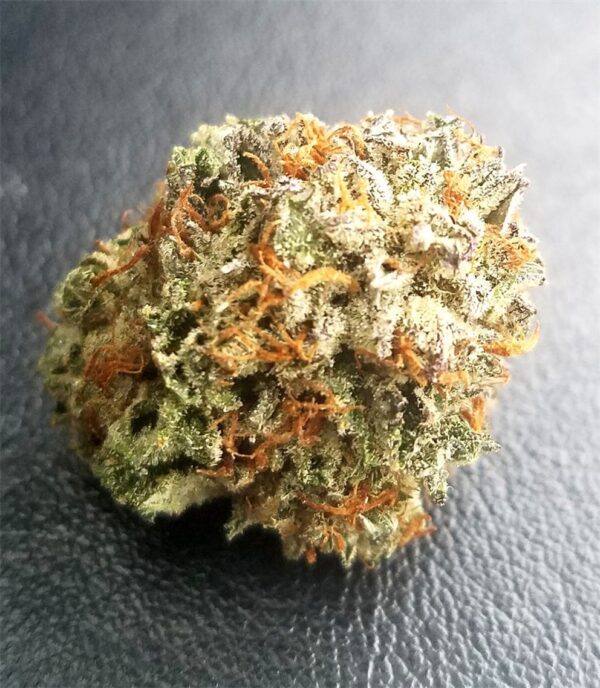 Master Kush Marijuana Strain