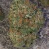 Northern Lights Marijuana Strain