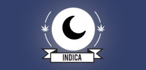 Buy Weed Online Mood, Indica cannabis strains, buy weed online, buy marijuana online, weed online, buy weed online, weed for sale buy, Buy Marijuana online Canada