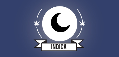 Indica cannabis strains, buy weed online, buy marijuana online, weed online, buy weed online, weed for sale buy, Buy Marijuana online Canada