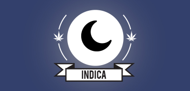 Buy Weed Online Mood, Indica cannabis strains, buy weed online, buy marijuana online, weed online, buy weed online, weed for sale buy, Buy Marijuana online Canada