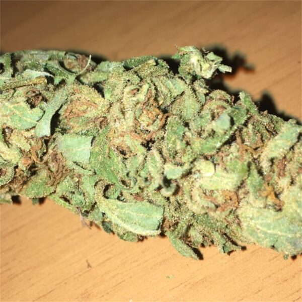 Super Lemon Haze Marijuana Strain