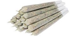 Animal Cookies Pre-Rolled Joints