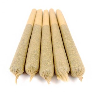 Animal Cookies Pre-Rolled Joints