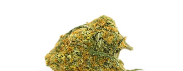 Lemon Kush Marijuana Strain