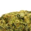 Lemon Skunk Marijuana Strain