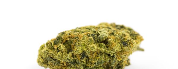 Lemon Skunk Marijuana Strain