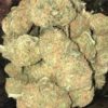 Platinum Girl Scout Cookies Marijuana Strain