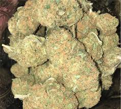 Platinum Girl Scout Cookies