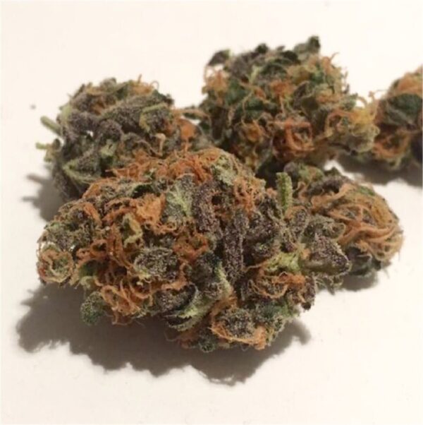 Amnesia Haze Marijuana Strain