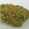 Chocolope Marijuana Strain