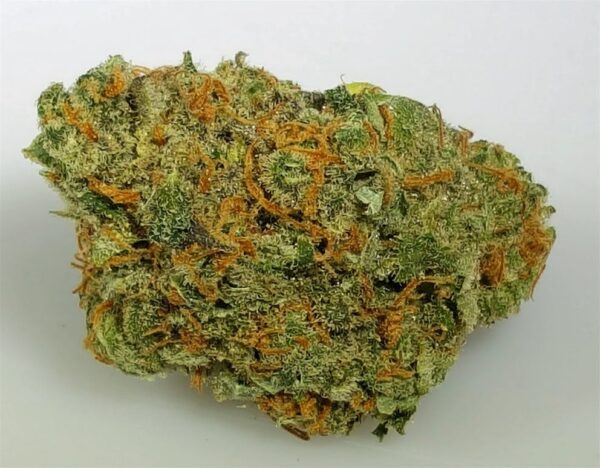 Chocolope Marijuana Strain