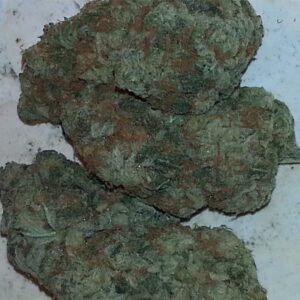 Chocolope Marijuana Strain