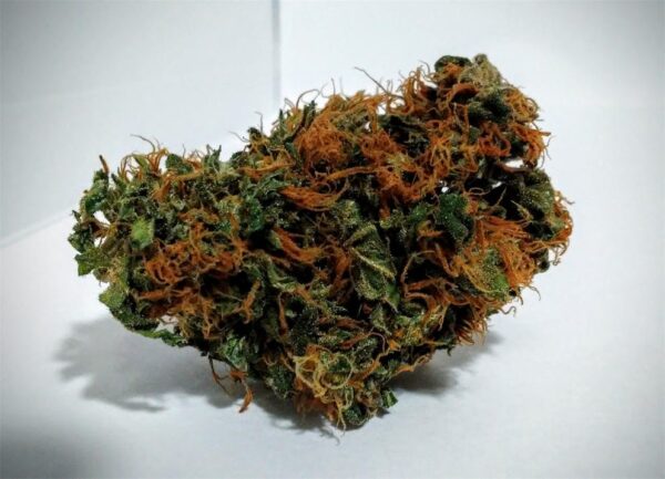 Durban Poison Marijuana Strain