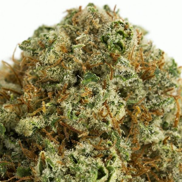 Fire OG Marijuana Strain