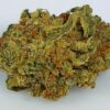 Granddaddy Purple Marijuana Strain