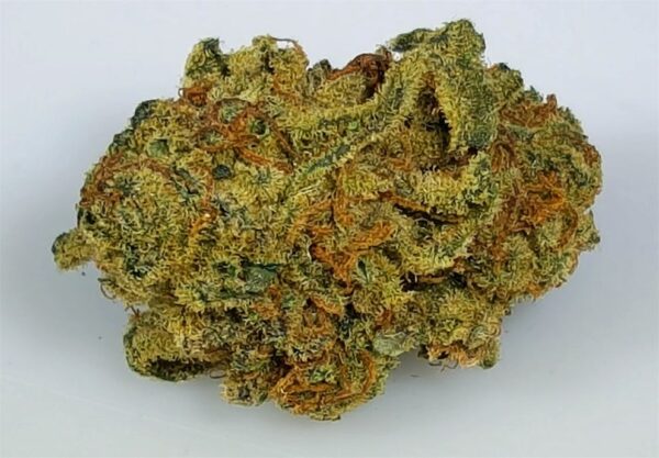 Granddaddy Purple Marijuana Strain