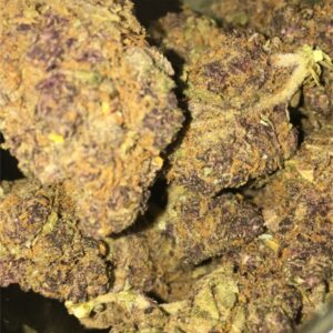 Granddaddy Purple Marijuana Strain