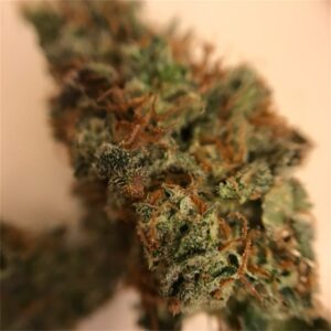 Green Crack Marijuana Strain