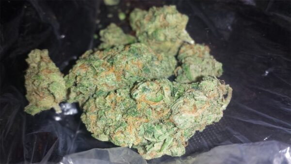 Lemon Haze Marijuana Strain