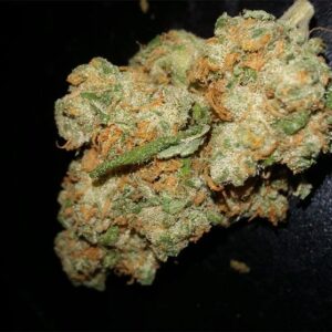 Maui Wowie Marijuana Strain