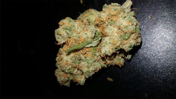 Maui Wowie Marijuana Strain