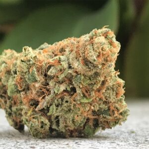 Maui Wowie Marijuana Strain