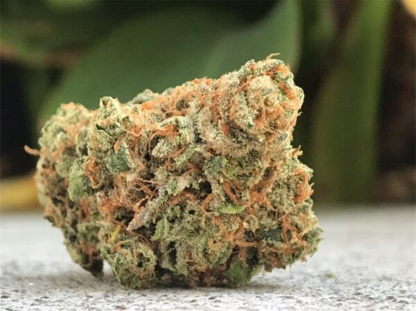 Maui Wowie Marijuana Strain