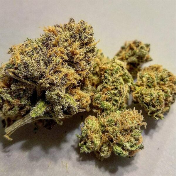 Strawberry Cough Marijuana Strain