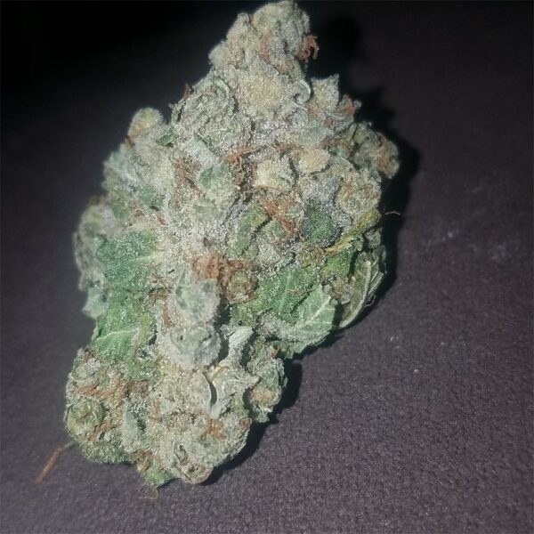 Super Silver Haze Marijuana Strain