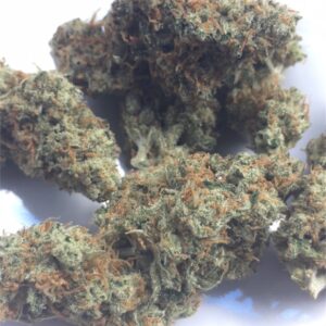 Super Silver Haze Marijuana Strain