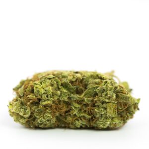 ACDC Marijuana Strain