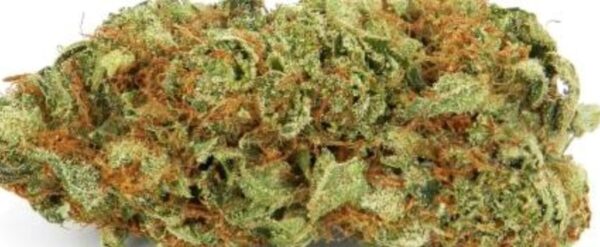 Alpine Star Marijuana Strain