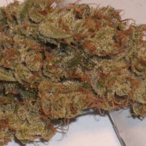 Alpine Star Marijuana Strain