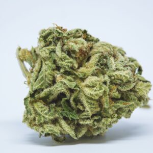 Big Bud Marijuana Strain