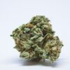 Chiquita Banana marijuana strain