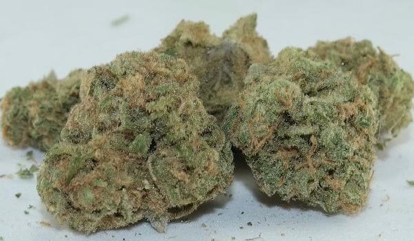 Haze Berry Marijuana Strain