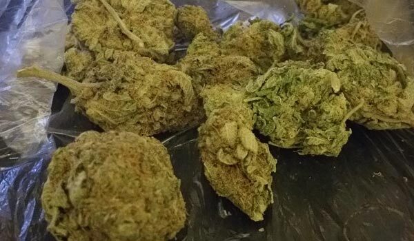 Haze Berry Marijuana Strain