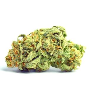 Moby Dick Marijuana Strain