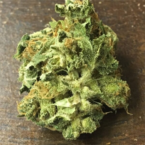 ACDC Marijuana Strain